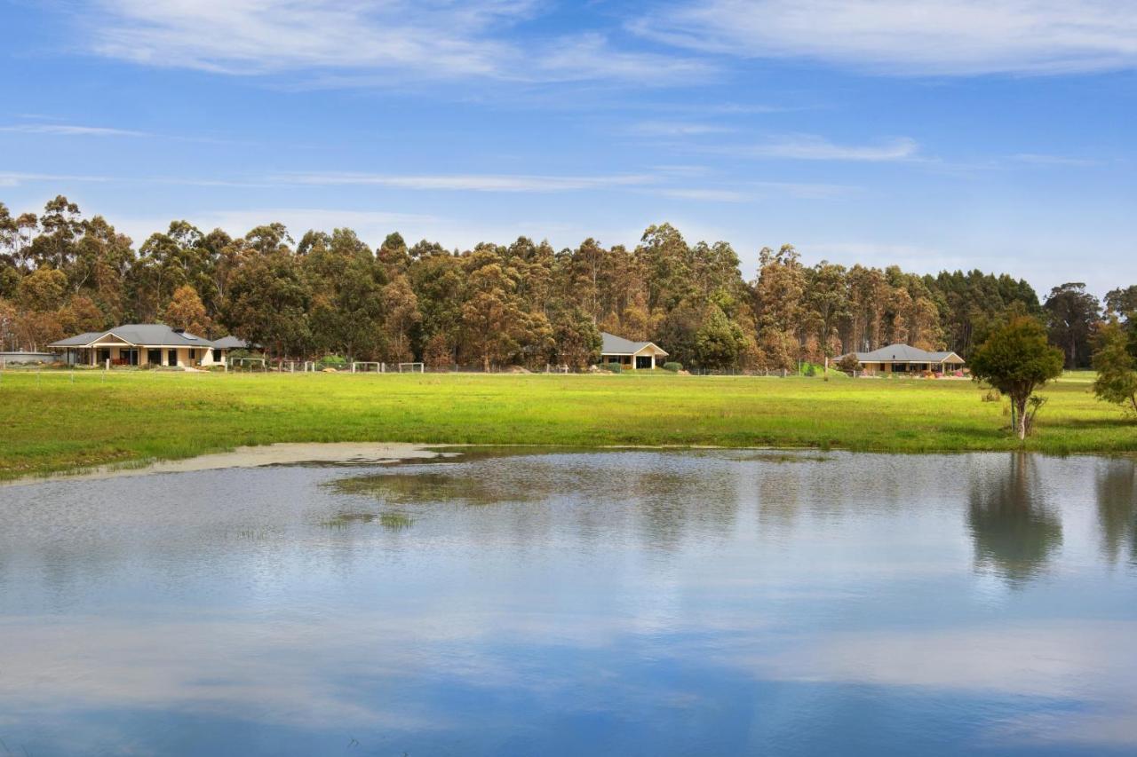 Witchcliffe Redgate Forest Retreatゲストハウス エクステリア 写真