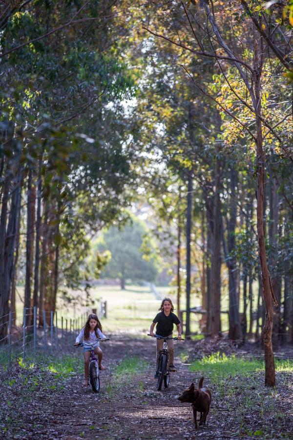 Witchcliffe Redgate Forest Retreatゲストハウス エクステリア 写真