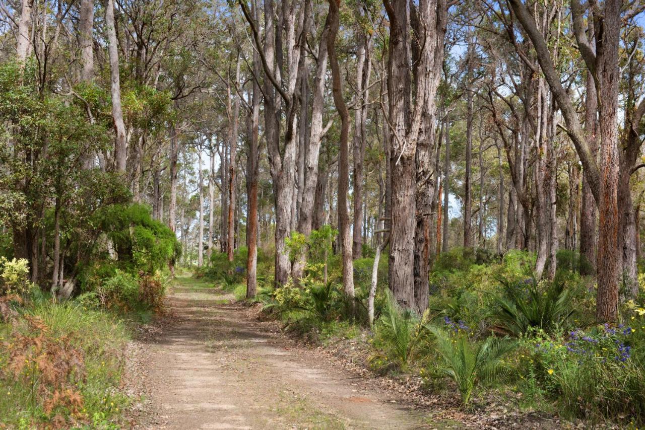 Witchcliffe Redgate Forest Retreatゲストハウス エクステリア 写真