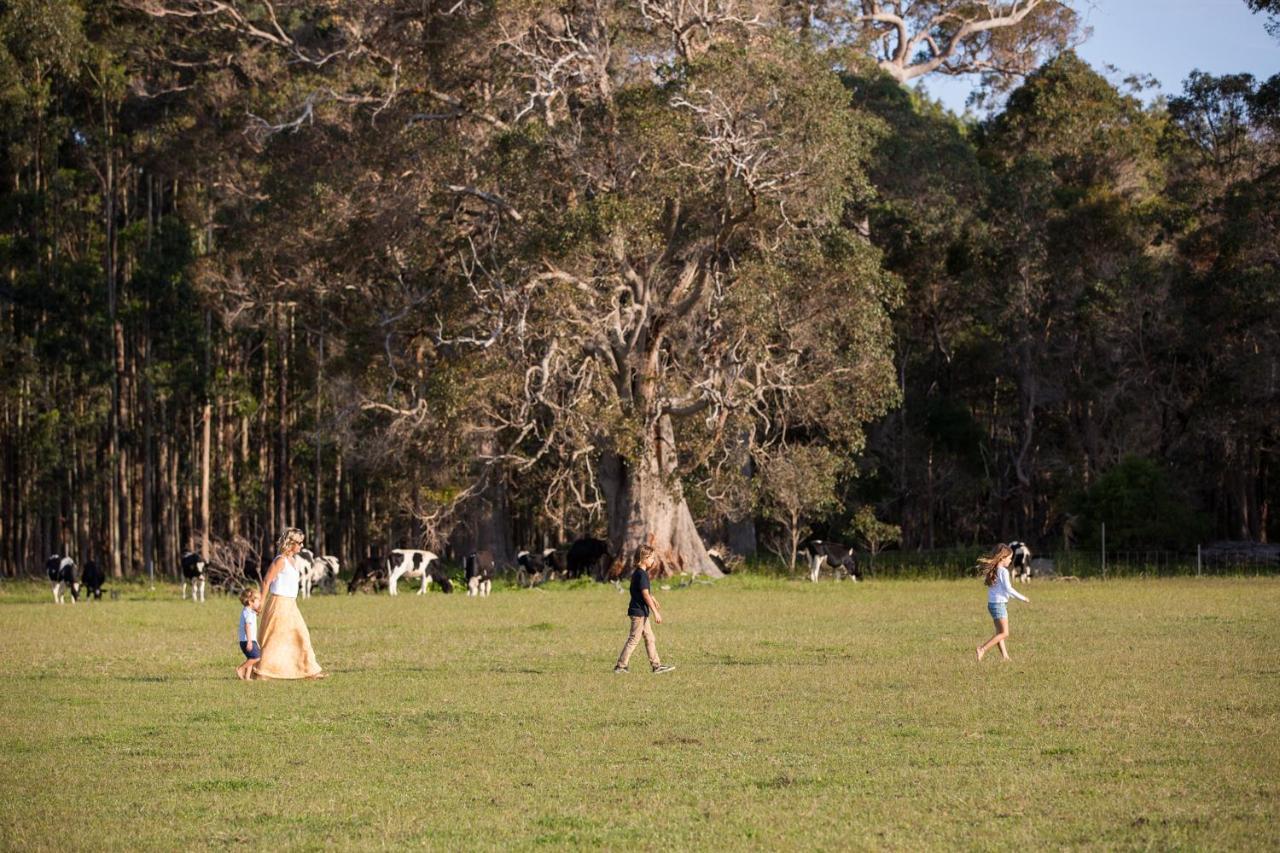 Witchcliffe Redgate Forest Retreatゲストハウス エクステリア 写真