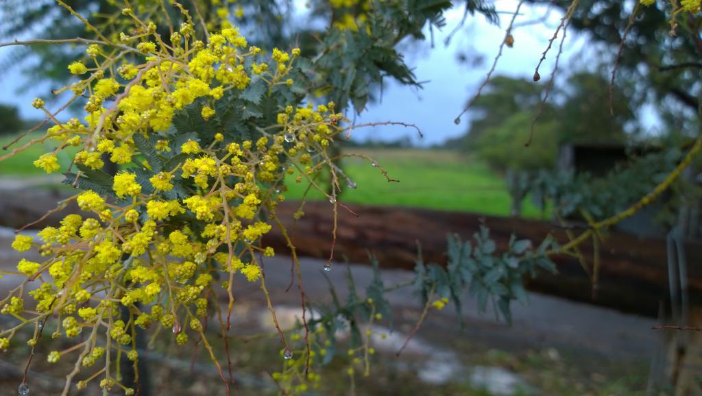 Redgate Forest Retreat Witchcliffe エクステリア 写真