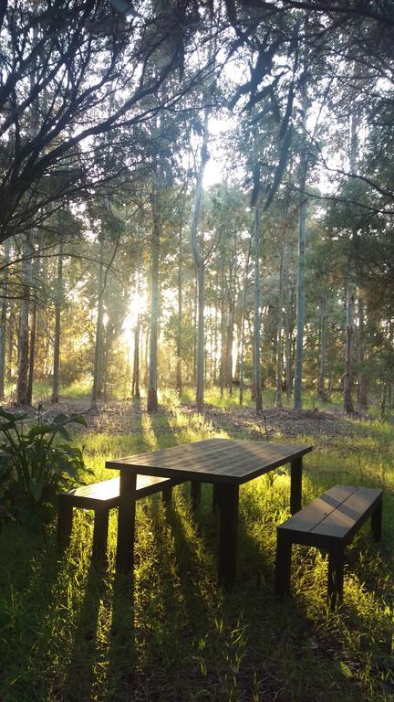Redgate Forest Retreat Witchcliffe エクステリア 写真