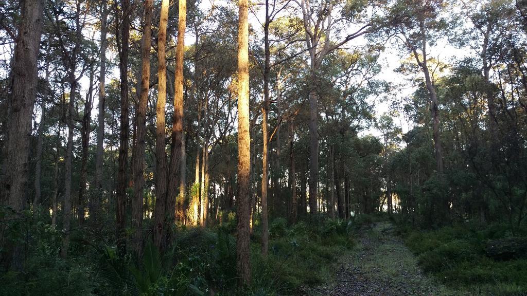 Redgate Forest Retreat Witchcliffe エクステリア 写真