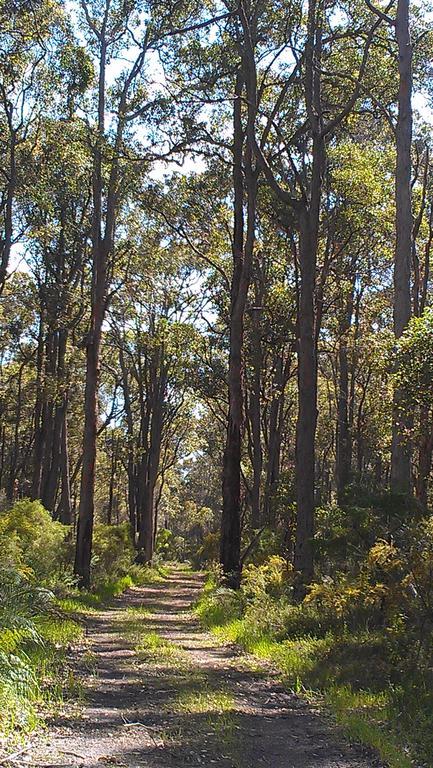 Witchcliffe Redgate Forest Retreatゲストハウス エクステリア 写真